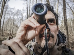 Francuz uratował poznańskie żaby. Wstrzymano budowę drogi