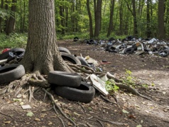 Nawet 10 tys. zł za śmieci w lesie. Rząd zaostrza kary!