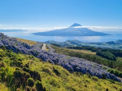 Portugalskie 3w1😮⛰️🌺, czyli Azory w niespotykanej dotąd odsłonie z Warszawy za 2193 PLN