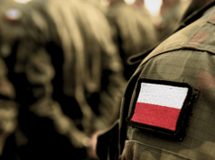 Palantir prześwietlony przez polskich żołnierzy. Podbije wojsko?