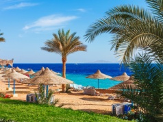 Rodzice zostawili pięcioro dzieci i wyjechali na wakacje all inclusive