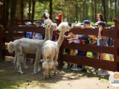 Wiosna i wielkanocne atrakcje w Parku Korzonek. Rodzinne świętowanie pełne niespodzianek!