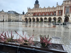 Szary i nudny weekend? Nie w Krakowie