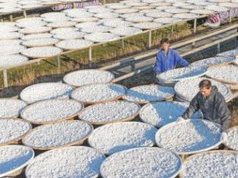 Ta branża najbardziej ucierpi na wojnie w Iranie. Jest raport