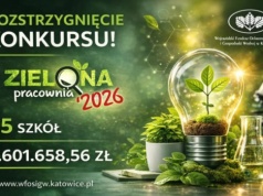 Rozstrzygnięcie konkursu „Zielona Pracownia 2026”! Powstanie 95 nowych przestrzeni do nauki o środowisku i ekologii