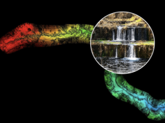 Laser odkrył tajemnice potoku Dylągówka. Mapy nie zgadzały się z rzeczywistością