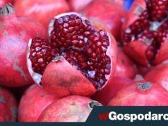 Granat - z wyglądu jak cukierki, a to bomba odżywcza