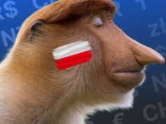 Steam w końcu zaktualizował kursy walut! To szansa na to, że gry będą tańsze, ale jest mały haczyk