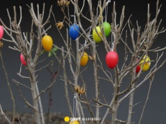 Unikatowe ozdoby pomagają w leczeniu. Szpital z Krakowa zaprasza