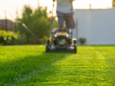 Kosisz trawnik w marcu? Prawie każdy popełnia ten błąd. Sprawdź dlaczego