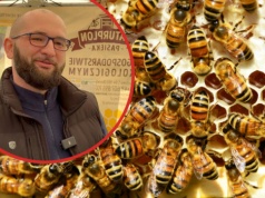 100 hektarów, gdzie miód nie jest dodatkiem, a częścią systemu