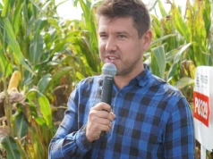 Kukurydza zawiodła mimo „bezpiecznego” terminu. Rolnicy zaskoczeni