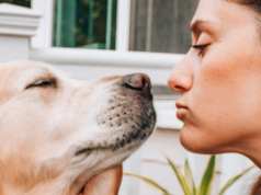 8 znaków, że twój pies naprawdę cię kocha. Nie robią tak każdemu opiekunowi