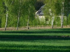 Kupujesz działkę budowlaną? Wiosna pokaże wszystko, czego nie zobaczysz latem