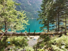 Coś niesamowitego wydarzyło się w polskich górach. Najnowsze badanie Tatr przynosi ważną lekcję