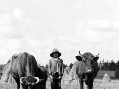 Życie na dawnej wsi: Nieślubnym dzieciom nadawano charakterystyczne imiona