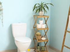 Rośliny do łazienki bez okna. Te gatunki poradzą sobie bez światła