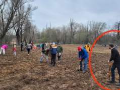 Mieszkańcy sadzili las w Bronowicach. Pojawił się prezydent Miszalski (Galeria)