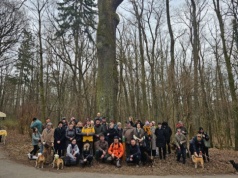 Cyganek – kilkusetletni dąb w Parku Julianowskim w Łodzi otrzymał imię