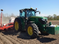 Ile kosztuje materiał siewny kukurydzy? Czy da się jeszcze kupić topowe odmiany?