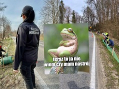 Lubelskie: osadzeni pilnowali żab na drogach, żeby mogły oddać się rozmnażaniu zamiast ginąć pod kołami