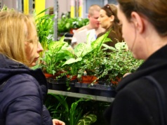 W Hali Targów Lublin królują kwiaty i sadzonki. Festiwal Roślin potrwa do niedzieli