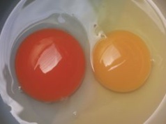 Wielu nie ma pojęcia, o czym świadczy kolor żółtka i rozmiar jajka. Wyjaśnijmy raz na zawsze