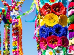 Symbolika palmy wielkanocnej. Tradycja i zwyczaje Niedzieli Palmowej