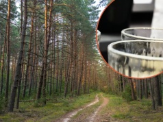 Rośnie wszędzie i jest za darmo. Działa lepiej niż modne detoksy