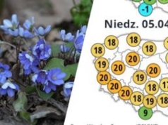 "Przyroda wie swoje". Szykuje się przełom w pogodzie?