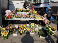Przedświąteczne zakupy na kieleckich bazarach