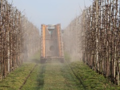 Sadownicy: zasady IP 2026 bez zmian