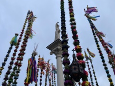 O włos od rekordu. Palmy wzniosły się nad lipnickim rynkiem