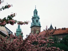 Miejsce wpisane w tkankę polskości. Konsekracja wawelskiej katedry