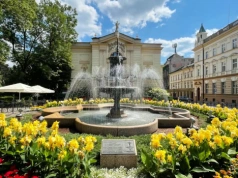 Zieleń pod lupą. Tańsze nasadzenia w Bielsku-Białej?