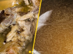 Rosół kostny czy rosół z kurczaka? Odpowiedź nie jest oczywista