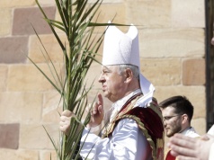 Biskup Piotrowski: Niedziela Palmowa jest zapowiedzią lepszego czasu dla człowieka