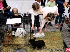 Od kolorowych warsztatów po spotkanie z królikami w Galerii Świdnickiej