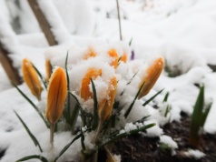 W najbliższych dniach wahania temperatury. IMGW ostrzega przed przymrozkami