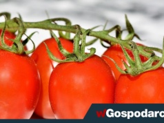 Nowalijki horrendalnie drogie!