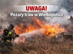 Uwaga! Pożary traw w Wielkopolsce