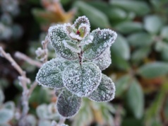 Wahania temperatur, a nawet przymrozki. IMGW wydał ostrzeżenia