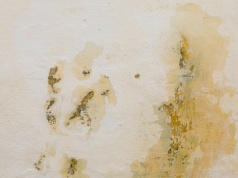 Pleśń w łazience nie bierze się znikąd. Twoje złe nawyki mogą być problemem. Oto przyczyny