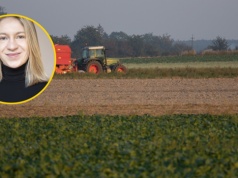 Tak nie zbudujemy bezpieczeństwa żywnościowego na lata. Jaka nowa wizja dla systemu żywnościowego Polski?