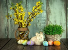 Zetnij dziś i wstaw do wody. W święta obsypią się kwiatami