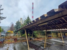 Na terenie Elektrowni Jaworzno zadbano o koty. Są kastrowane i z nowymi domkami