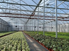 AGRO-SUR – od projektu po realizację. Kompleksowe podejście do budowy szklarni i bloków foliowych