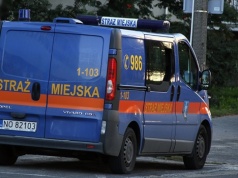 Inwazyjny gatunek obcy znaleziony w Olsztynie. Służby ustalają pochodzenie zwierzęcia