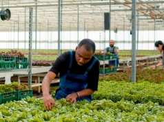 W Polsce rośnie proceder niewolnictwa imigrantów