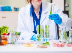 Wchodzą nowe przepisy. Koniec z popularnym zielem